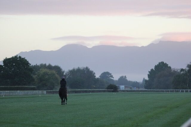 Te Akau Trackwork Update