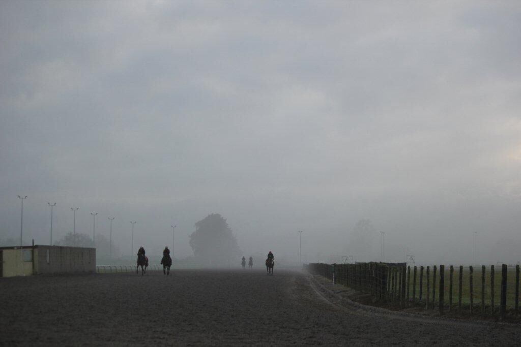 Te Akau Thursday Trackwork