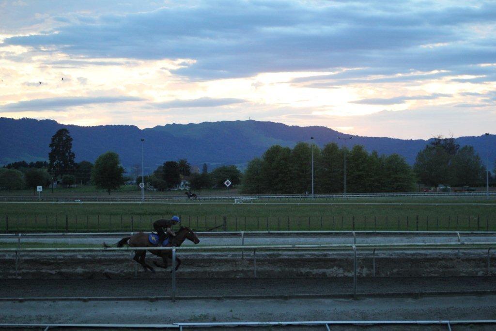 Te Akau Thursday Trackwork