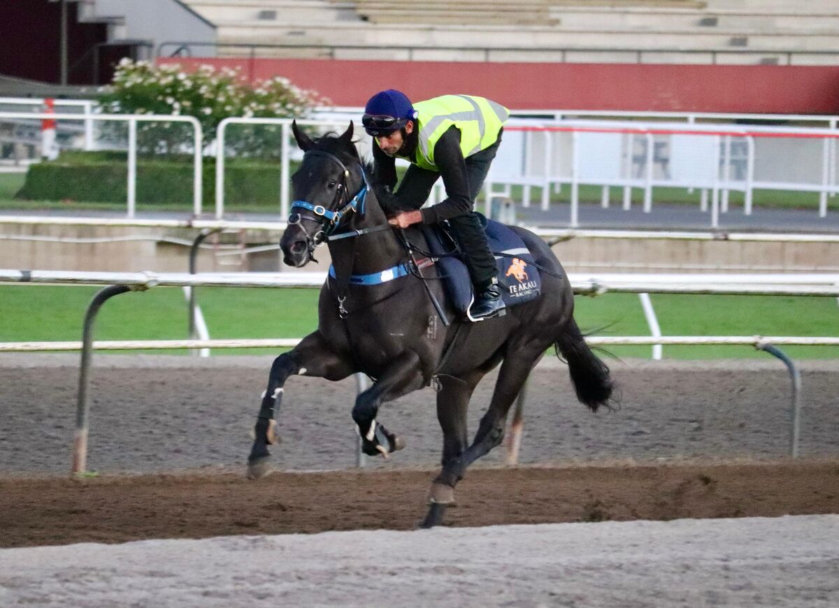 Te Akau Thursday Trackwork