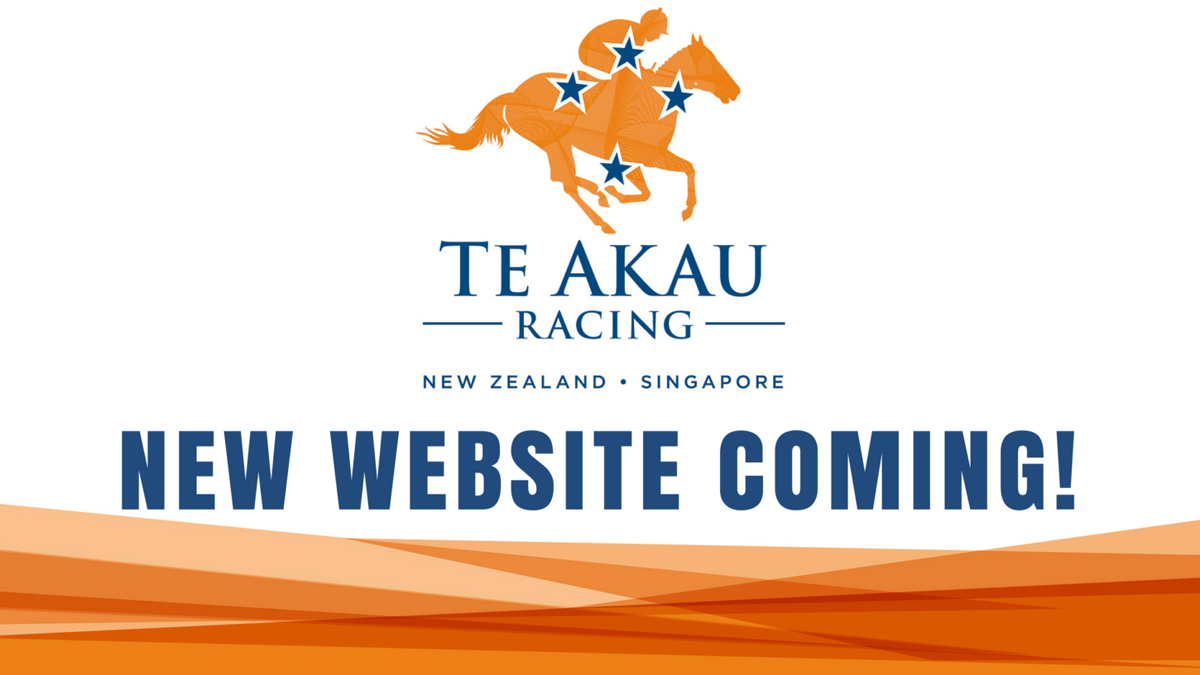 New Website