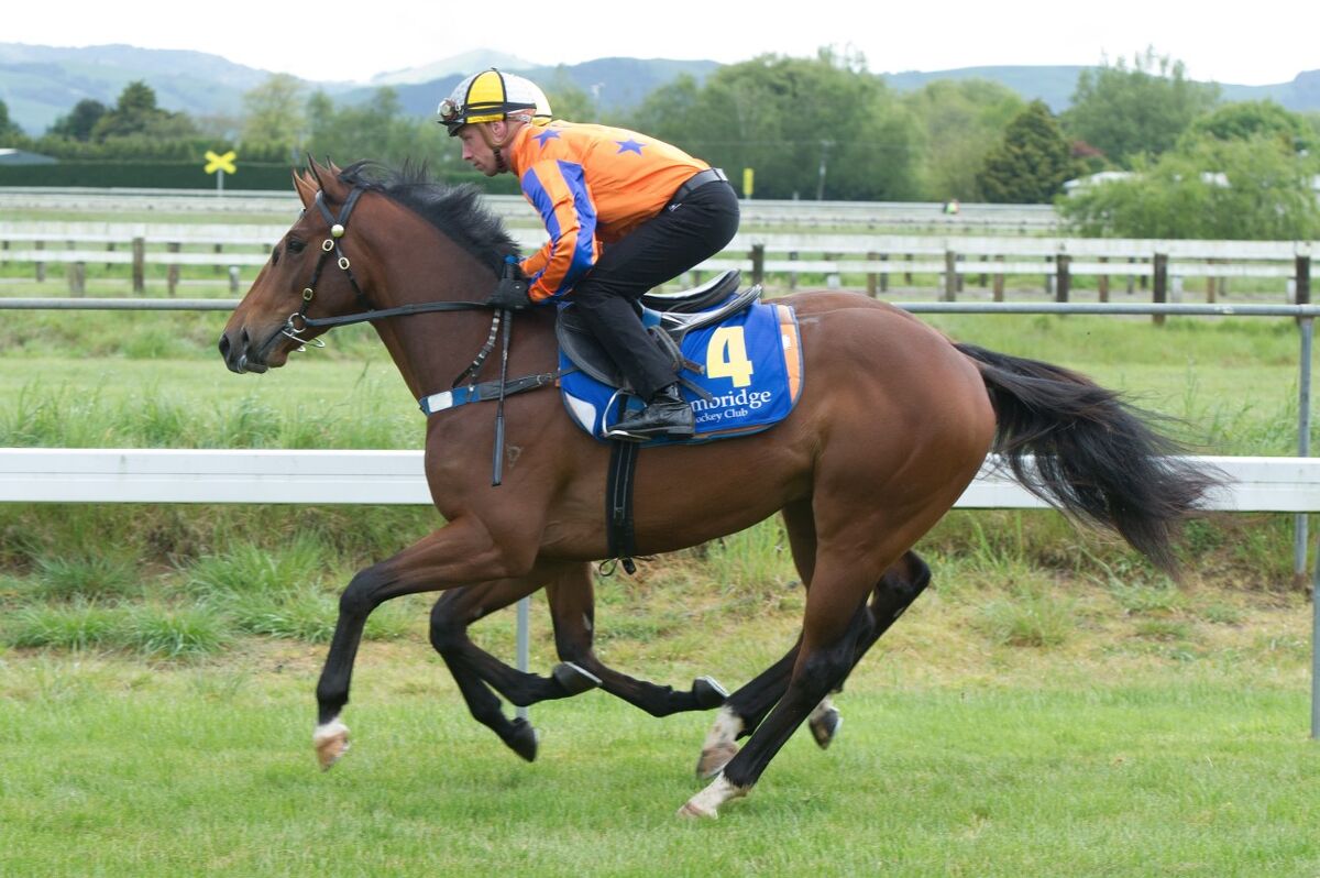 Te Teko Trials Today