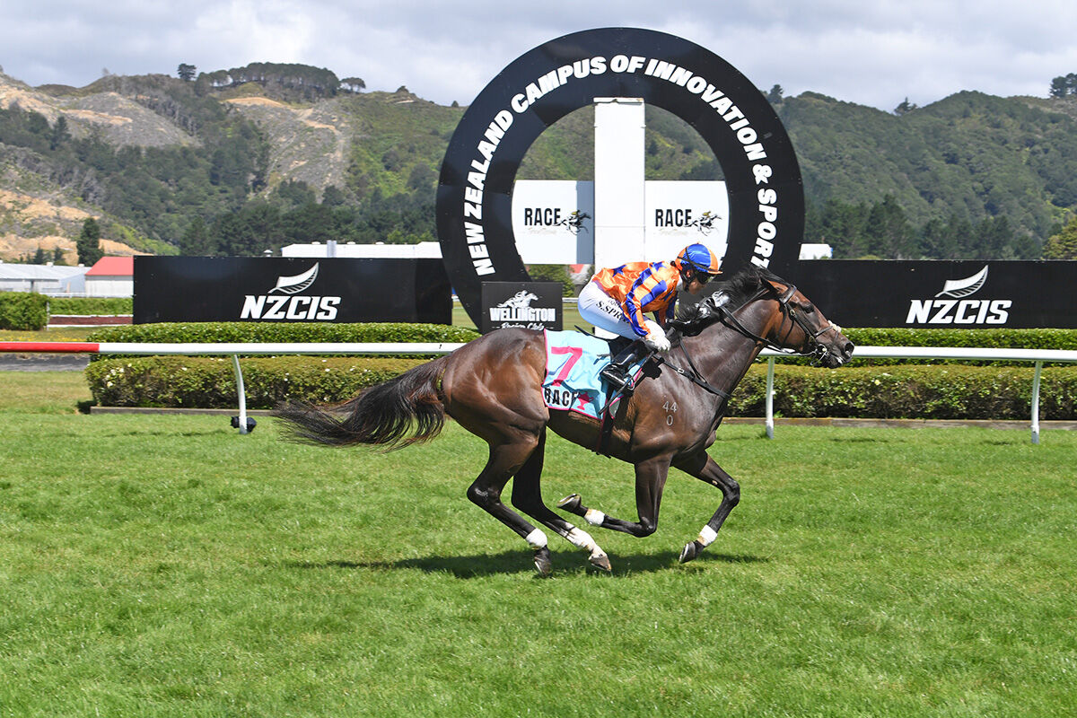 Te Akau Trentham Sunday Preview
