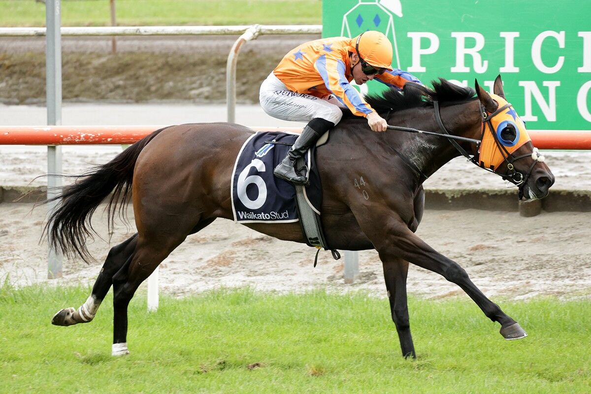 Te Akau Trans Tasman Saturday Preview