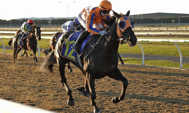 Te Akau Trans Tasman Sunday Preview