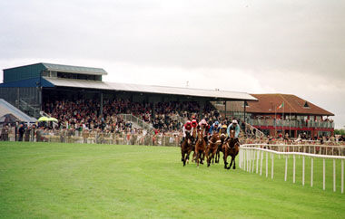 Te Akau Ireland Preview