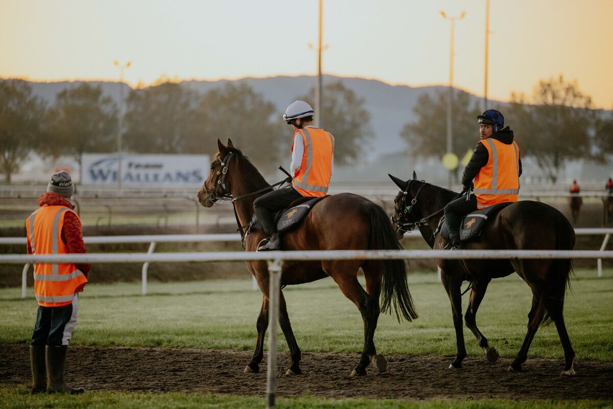 Te Akau Thursday Trans Tasman Trackworfk