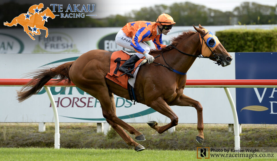 Te Akau TV - 2000 Guineas Weekend preview