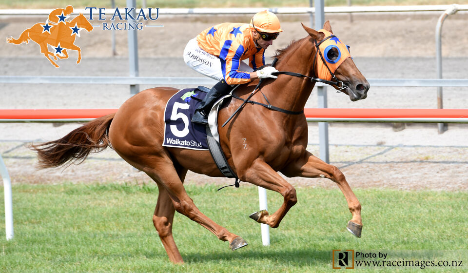 Matamata Win 2 of 4 - Say No More