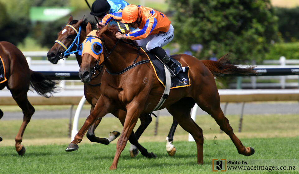 Ellerslie Treble - Group 3 Honours - Need I Say More