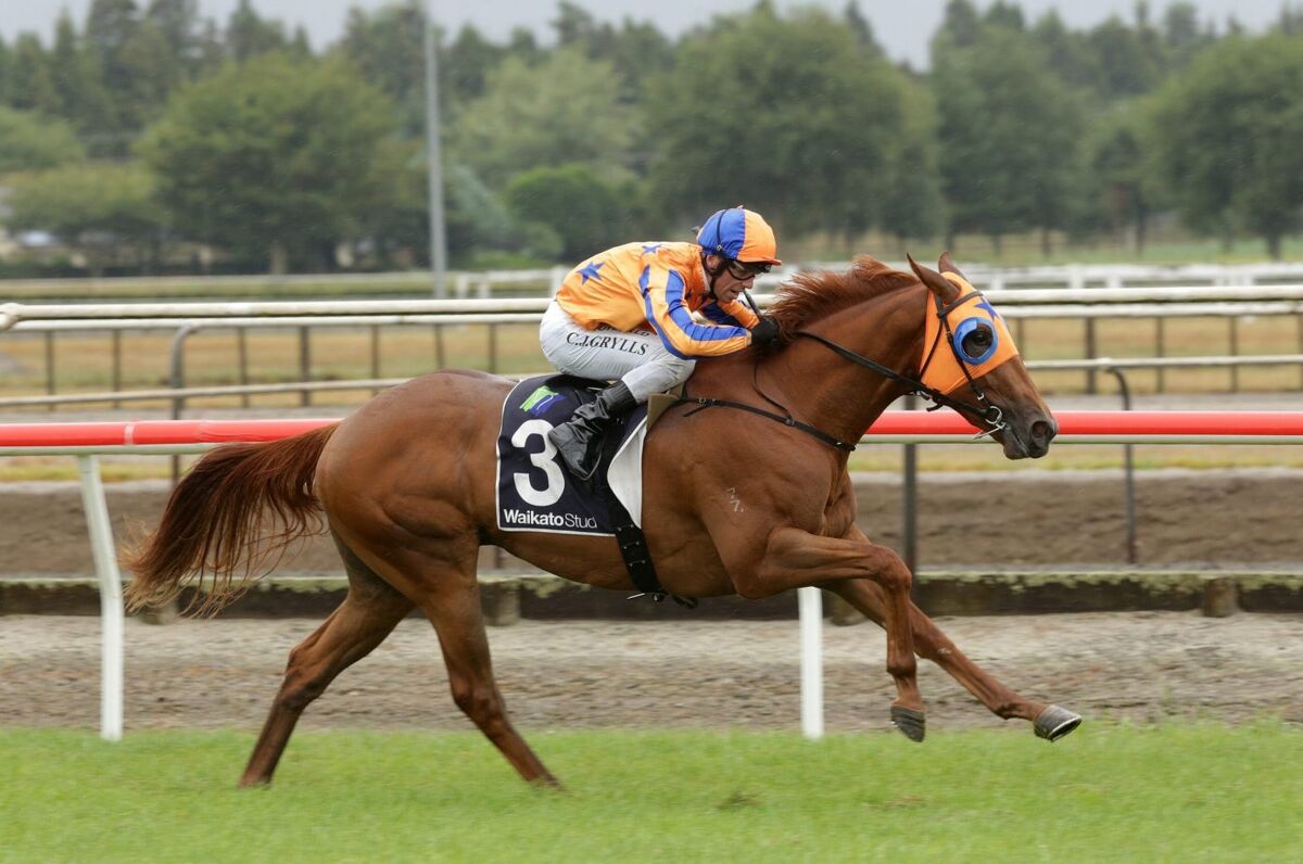 Blinkers To Help Richards Duo