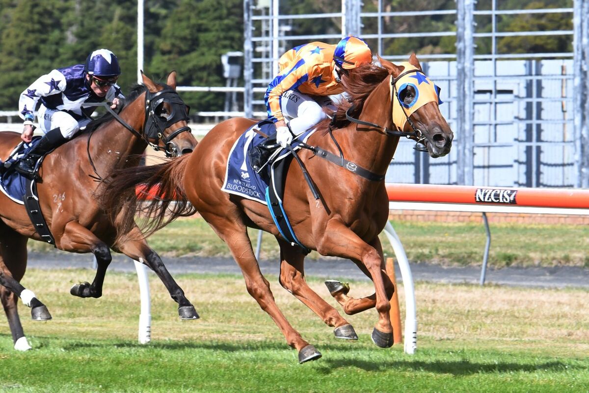 Need I Say More Secures 6th Stakes' Success