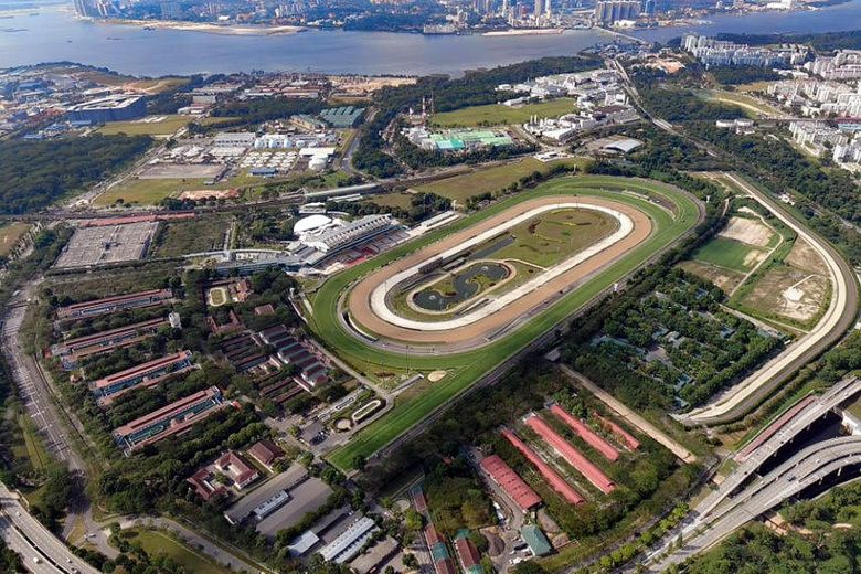 Te Akau Singapore Saturday Preview