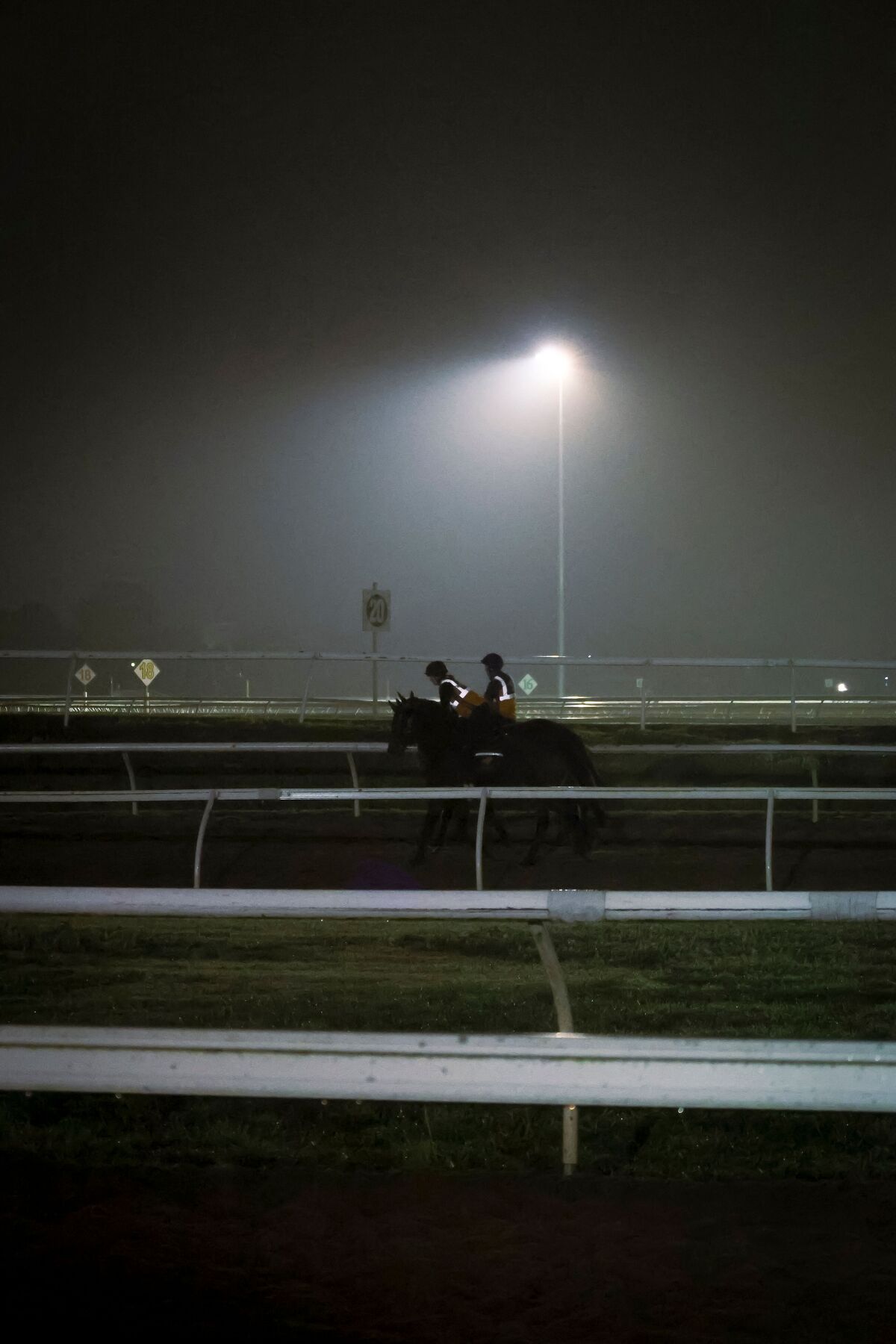 Te Akau Trans Tasman Tuesday Trackwork