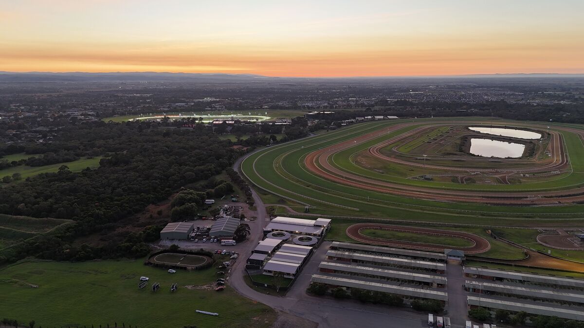 Te Akau Trans Tasman Tuesday Trackwork