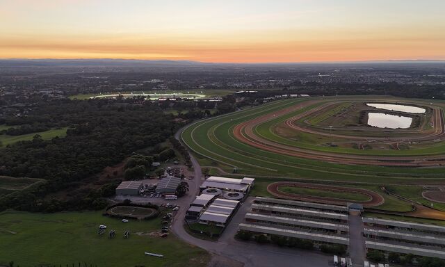 Te Akau Trans Tasman Tuesday Trackwork