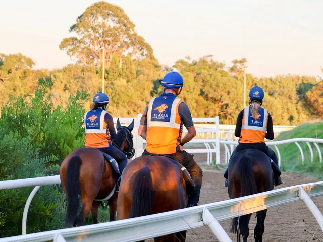 Te Akau horses and riders training at Cranbourne in Victoria