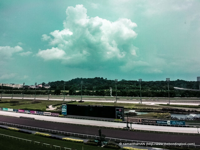 Te Akau Singapore Sunday Preview