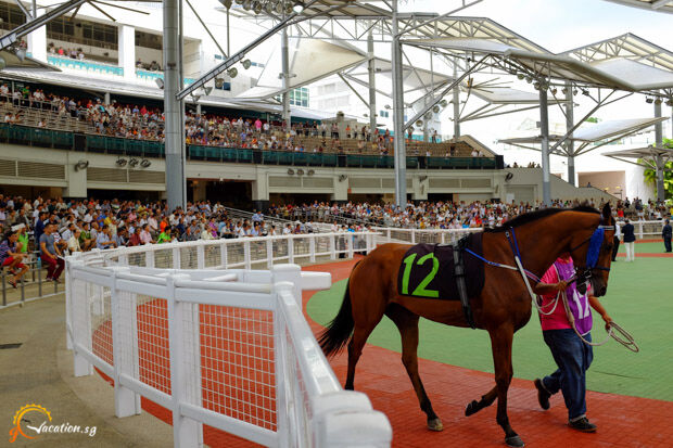 Singapore Friday Focus