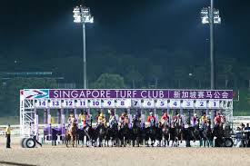 Te Akau Singapore Weekend Preview