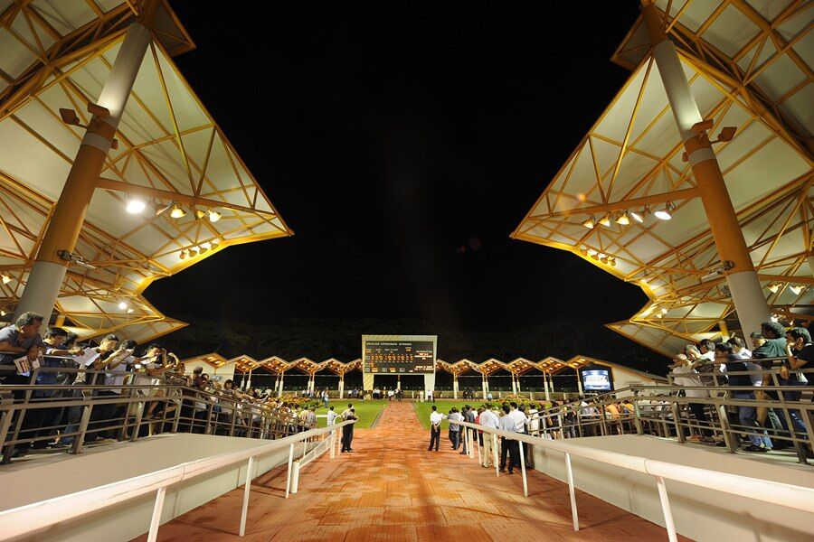 Te Akau Singapore Monday Preview