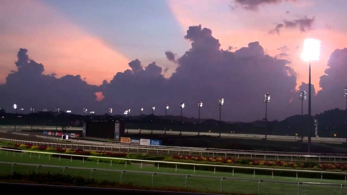 Te Akau Singapore Trackwork Update