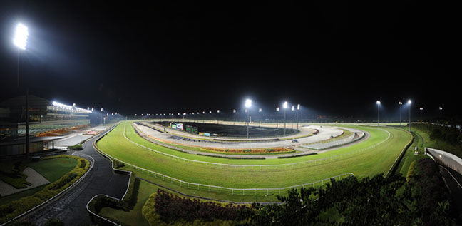 Te Akau Singapore Weekend Preview
