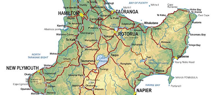 Te Akau North Island Thursday Preview