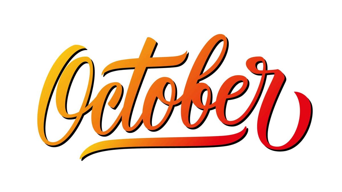 Te Akau's Incredible Year in Review - October 2019
