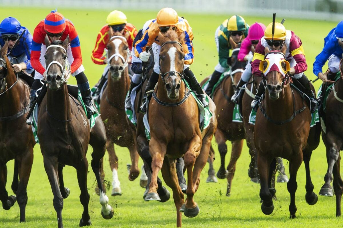 Te Akau 'Return to Racing' Saturday Preview