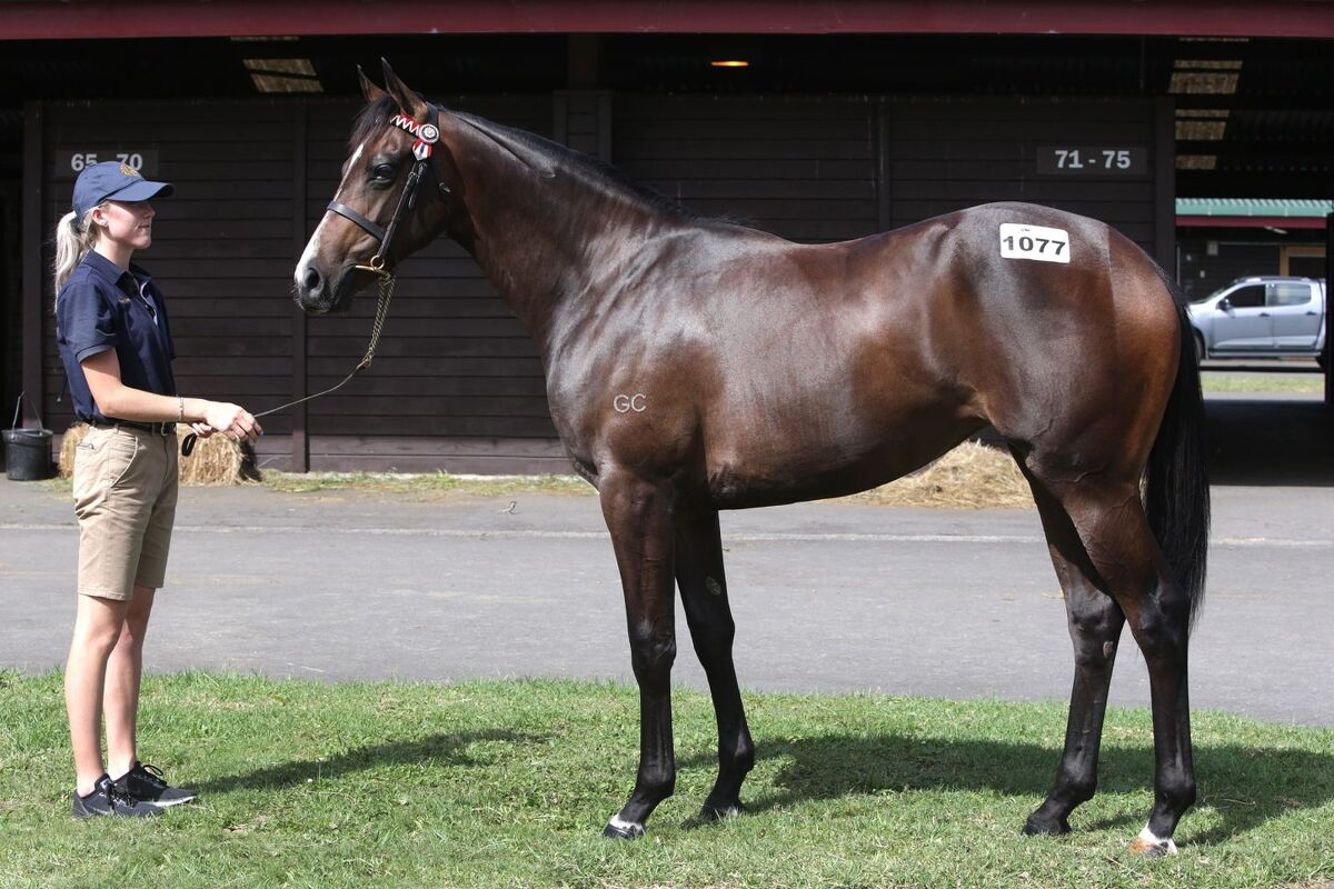 Be Quick - She's a Stunner!