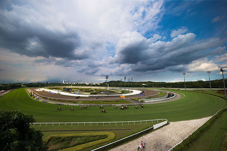Te Akau Singapore Trackwork