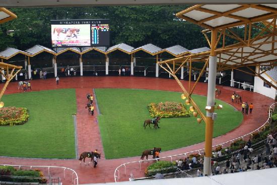 Te Akau Singapore Sunday Preview