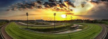 Te Akau Singapore Trackwork Update