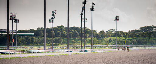 Te Akau Singapore Saturday Preview