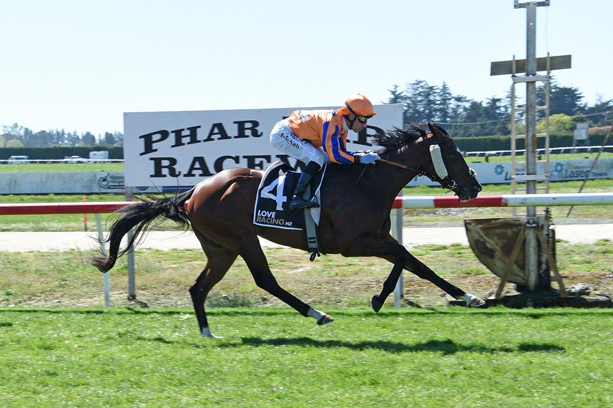 Te Akau's Pre Cup Week Assault Firing