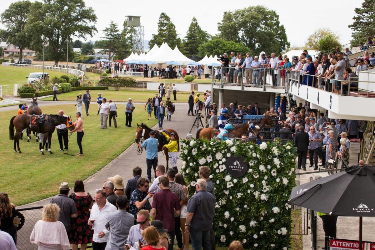NZ Racing to Return Earlier?