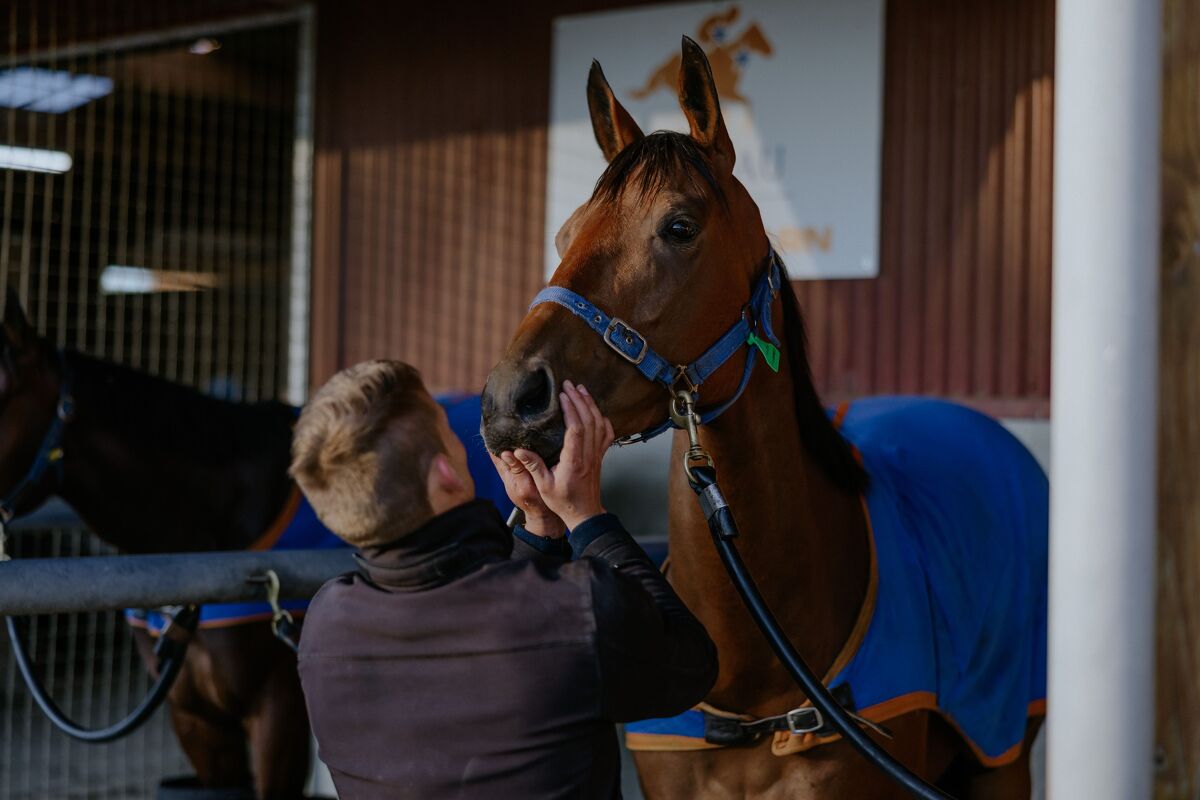 Te Akau Trans-Tasman Trackwork Highlights