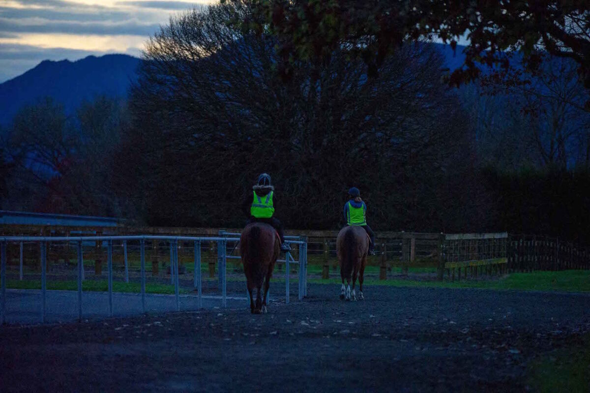 Te Akau Tuesday Trackwork