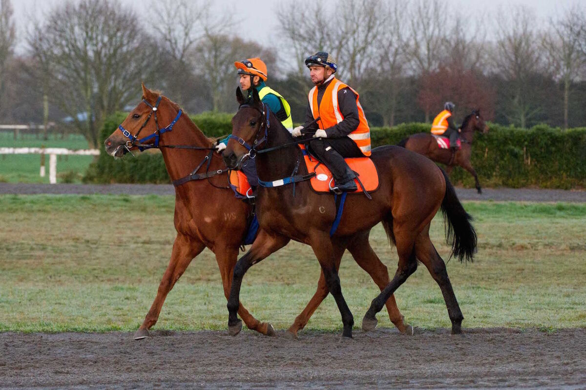 Te Akau Thursday Trackwork