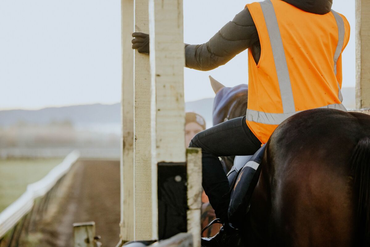 Te Akau Trans Tasman Tuesday Trackwork