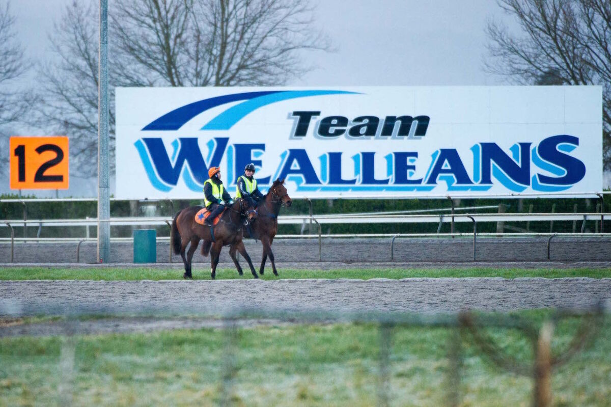 Te Akau Weekend Trackwork