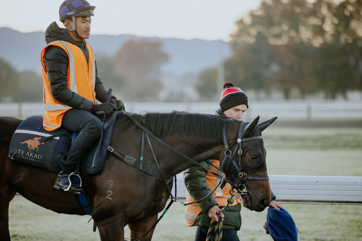 Te Akau Trans Tasman Thursday Trackwork