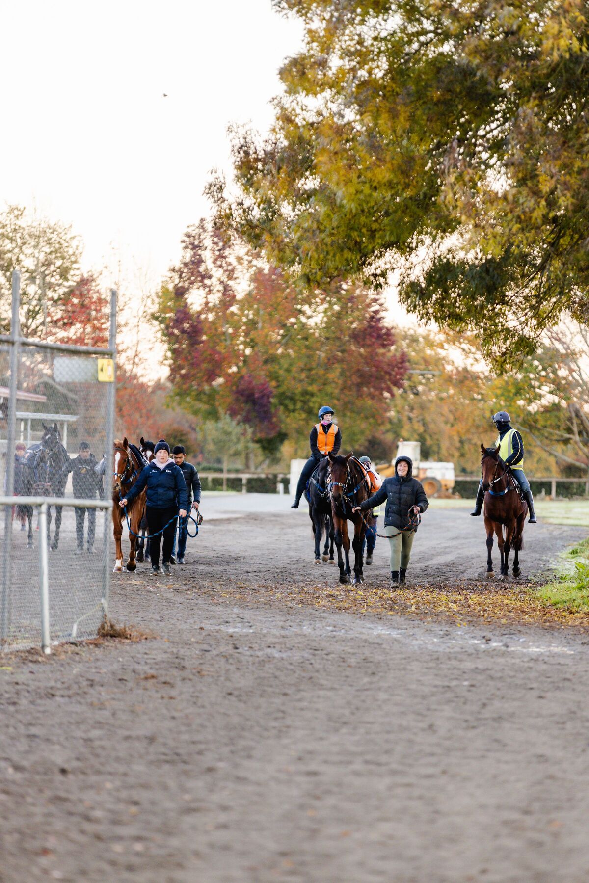 Te Akau Friday/Saturday Trackwork