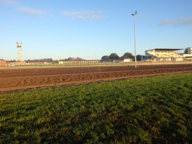 Te Akau Weekend Trackwork