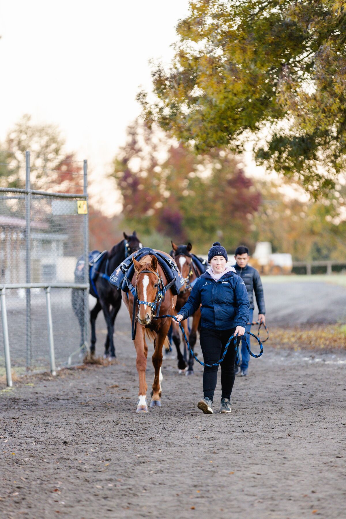 Te Akau Thursday Trackwork