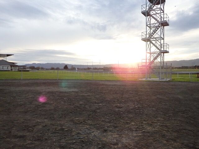 Te Akau Tuesday Trackwork