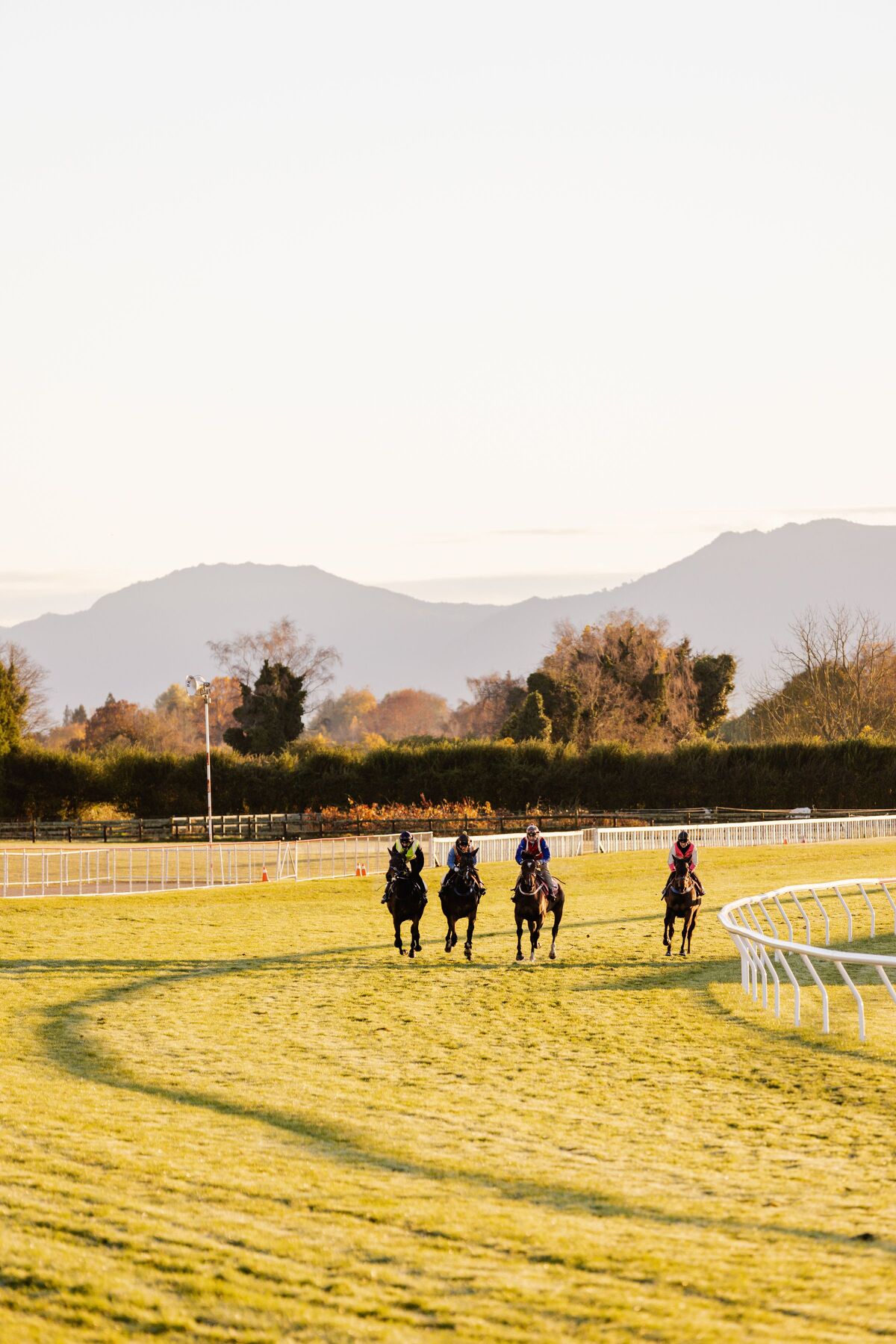 Te Akau King's Birthday Trackwork