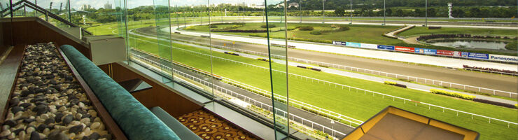Te Akau Singapore Friday Preview