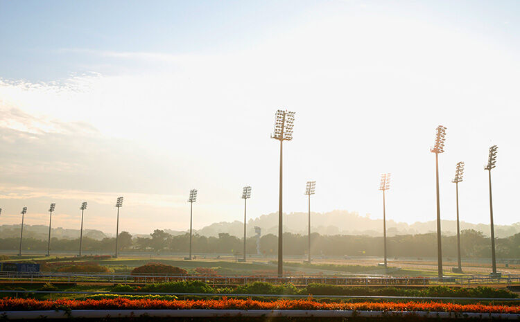 Te Akau Singapore Trackwork Update